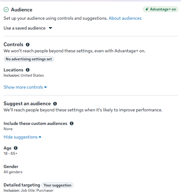 Meta Ads Manager audience and Advantage+ placements settings.